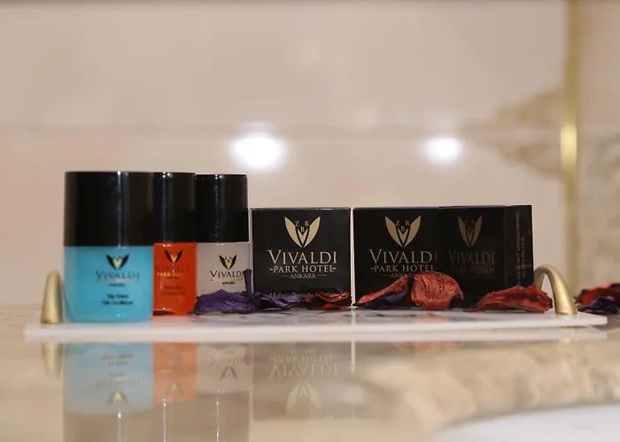 Vivaldi Park Отель Анкара